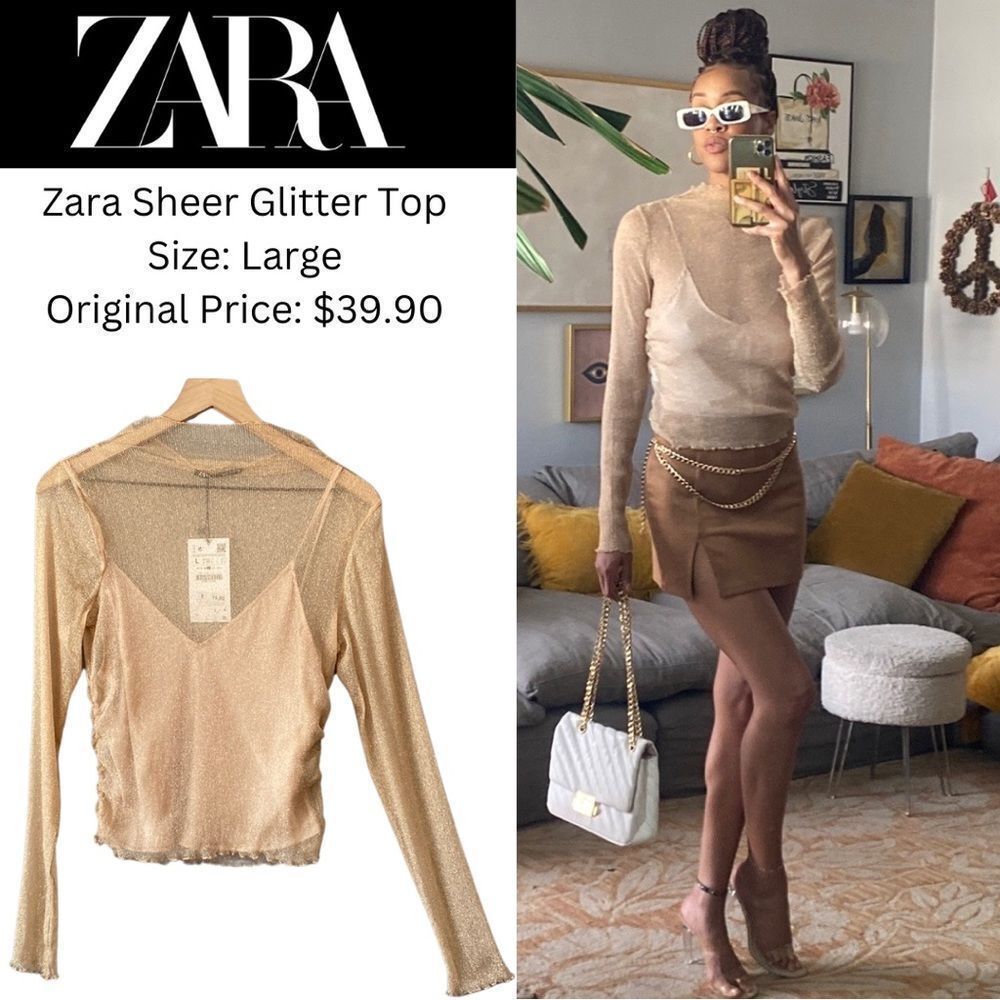 Zara Sheer Glitter Top